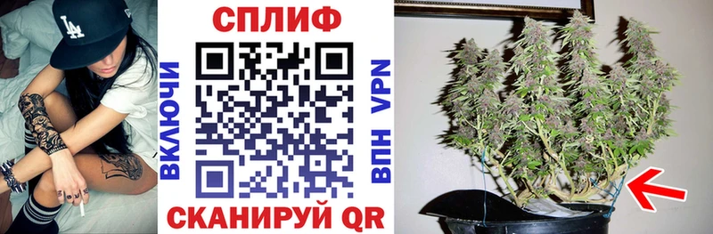 Наркота Канаш Галлюциногенные грибы  МАРИХУАНА  Меф мяу мяу  ГАШИШ  Alpha-PVP  АМФ 