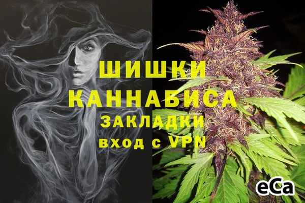 гашик Нягань
