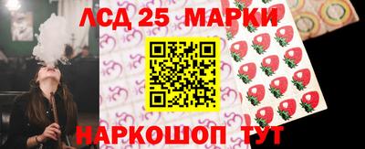 гашик Донецк