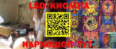 гашик Донецк