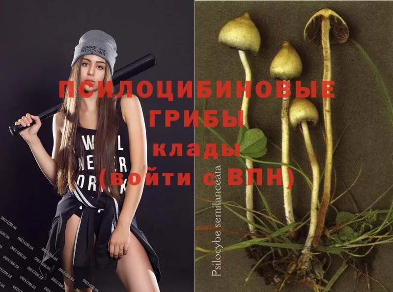 Галлюциногенные грибы Magic Shrooms  Канаш 