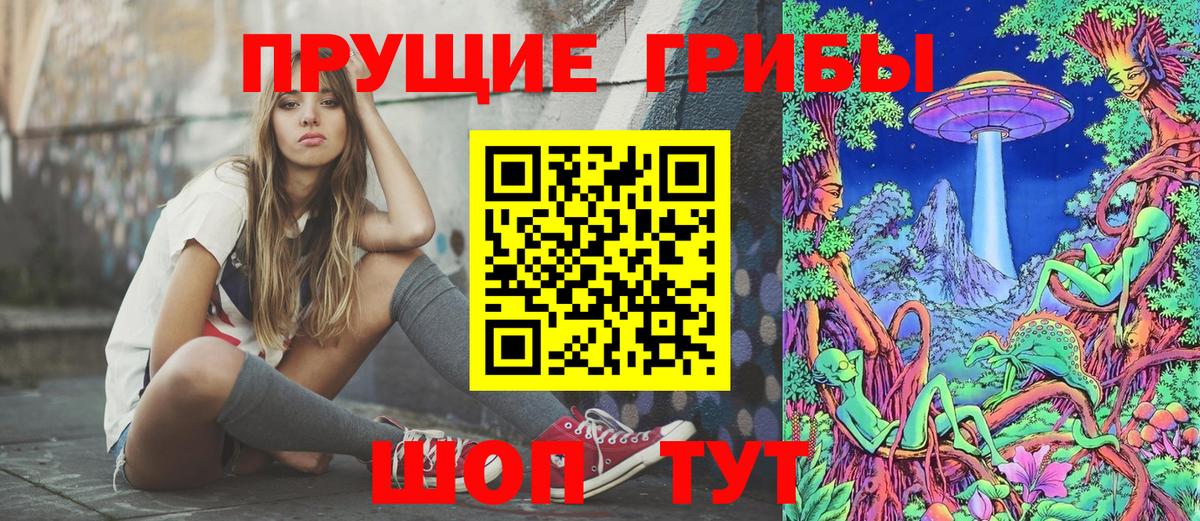 Псилоцибиновые грибы Psilocybine cubensis Канаш