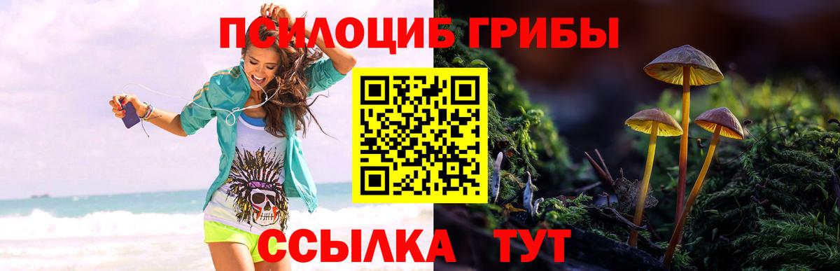 Псилоцибиновые грибы мухоморы  Канаш  Галлюциногенные грибы Psilocybine cubensis 